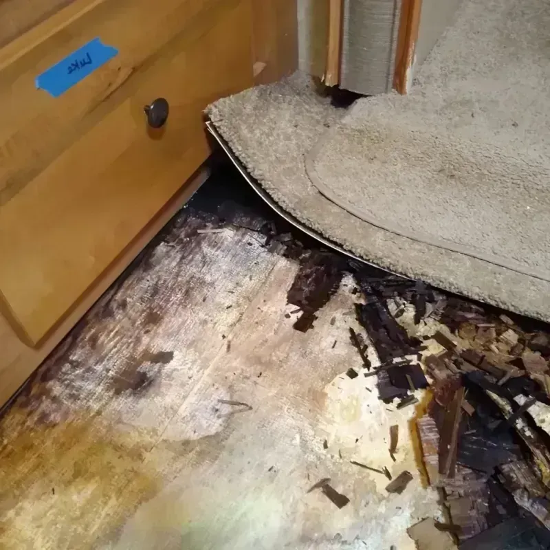 Best Wood Floor Water Damage Service in Beltrami County, MN